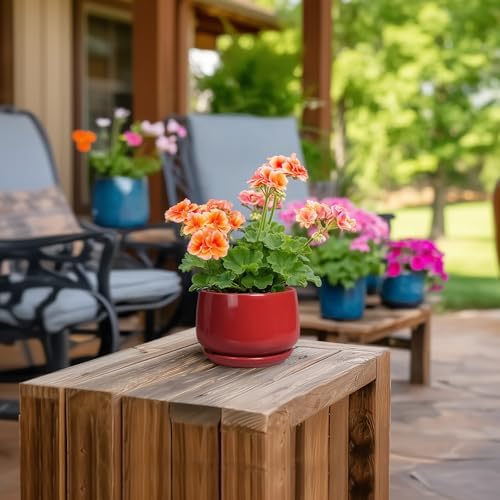 G EPGardening Ceramic Pots for Plants - 4 inch Succulent Pots Indoor Outdoor, Small Planter with Drainage Hole & Tray, Modern Flower Pot, Decorative Round Planter, Living Room Decor, Home Gifts, Red - Image 4