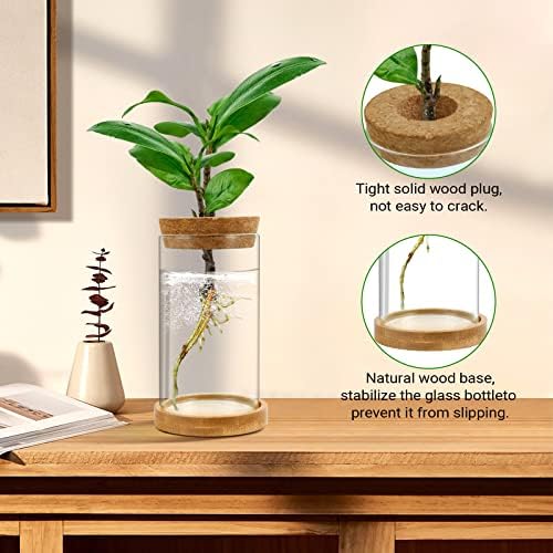 Plant Propagation Stations 3 Pack Plant Terrarium, Propagation Jars Glass Hydroponic Vases for Indoor Plants, Desktop Glass Plant Pot with Lid & Wooden Stand Gardening Gifts for Women Mom Plant Lovers - Image 2
