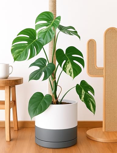 D'vine Dev 14 Inch Ceramic Planter Pot, White/Grey, 94-O-G-6 - Image 3