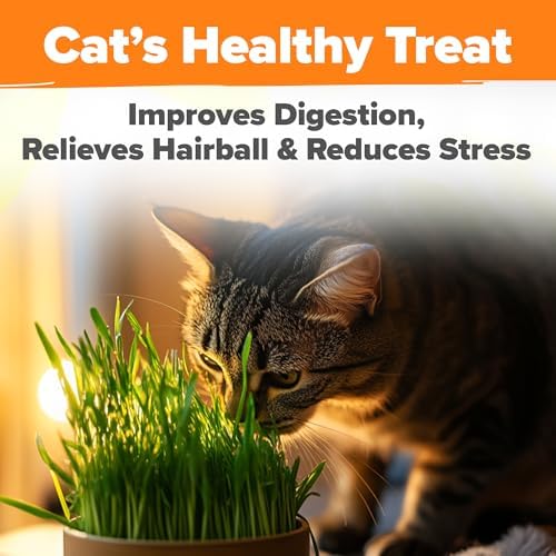 HOME GROWN Organic Cat Grass Seeds Pack 8 oz 7200 Oat & Barley Grass Seeds - Image 5