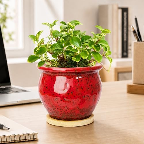 4.5 Inch Plant Pots with Drainage, Small Ceramic Pots for Indoor Plants - Image 4