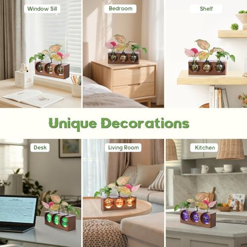Wooden Stand Plant Propagation Station with 9-Level Adjustable LED Lights - Image 6