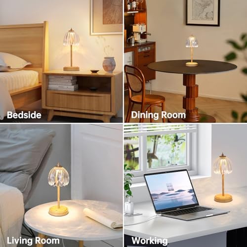 Shenmoyl Tulip Table Lamp with 5200mAh Battery & Touch Control, Small Cordless Table Lamp with 3 Colors, Rechargeable Battery Operated Table Lamps for Bedroom, Desk, Bedside (Transparent-Beech Color) - Image 4