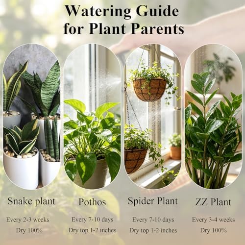 Glass Plant Mister Spray Bottle Vintage Refill Leak Proof Watering Can 8oz - Image 6