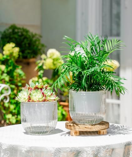Melphoe Self Watering Pots for Indoor Plants Planter, 6.5 Inch 2 Pack Planters Self Watering Plant Pots for Flower, Houseplants, Succulent, African Violets and Cactus with Drainage - Image 3