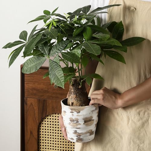 4+6 Inch Ceramic Planter Set of 2 with Drainage Hole,Saucer for Plants, Indoor-Outdoor Large Round Succulent Orchid Flower Pot- Cement Paint, Inner-pots not Larger Than 5 Inch Light Brown - Image 5