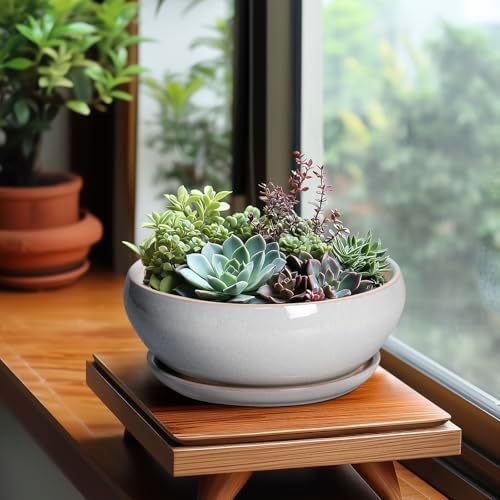 SQOWL Bonsai Tree Pots, 8 Inch Ceramic Plant Pots with Saucer, Gray - Image 4