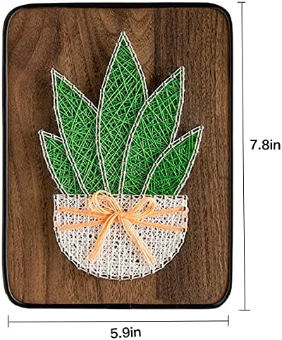 BAZIMA DIY String Art Kit for Beginner,DIY Aloe Potted Craft Kit,Unique Gift,Craft Kit for Holidays - Image 3