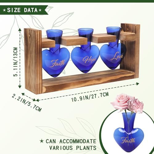 Plant Terrarium Propagation Stations Hydroponics - Image 4