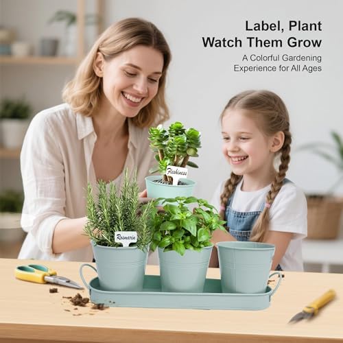 Herb Garden Planter Indoor Kit – 6 Metal Pots with 2 Trays for Windowsill & Kitchen Counter – Modern Decorative Indoor Planters for Herbs, Succulents & Small Plants, Mint - Image 7