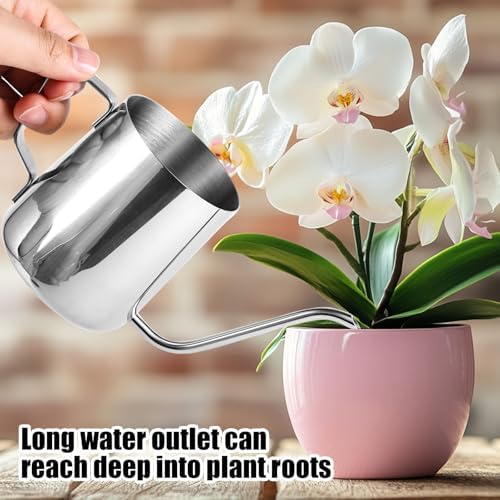 Small Plant Watering Can, 12oz/350ml Stainless Steel Tiny Mini Plant Watering Pot with Long Spout Accessories Tools for Indoor Outdoor Garden Flowers Bonsai (Silver) - Image 5