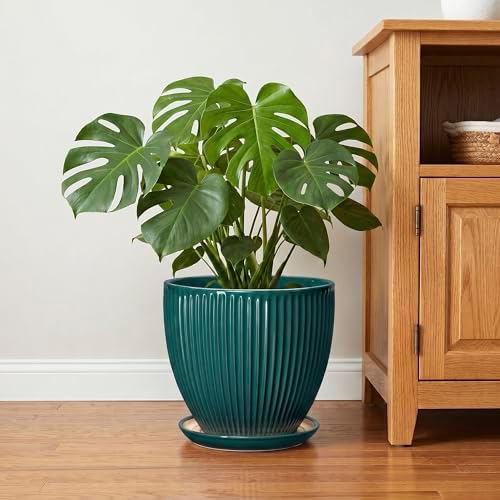 10 Inch Flower Pot, Round Ceramic Planters for Indoor Plants, Decorative Plant Pots with Drainage Hole and Saucer, Modern Large Planter, Office Decor, House Warming Gifts, Blackish Green - Image 6