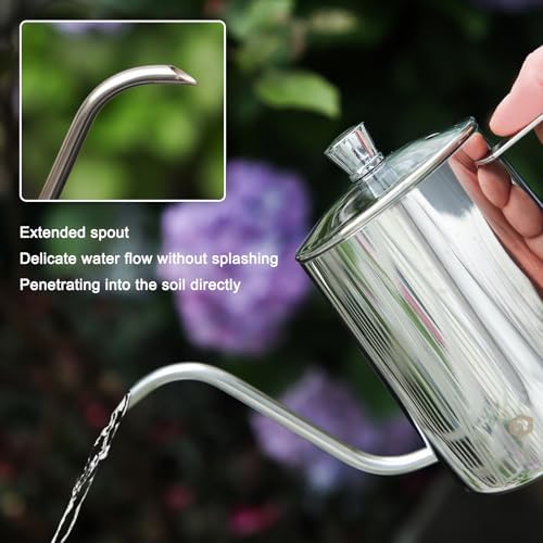 Watering Can for Indoor Plants, Silver Stainless Steel Watering Can 2 Pack - Image 3