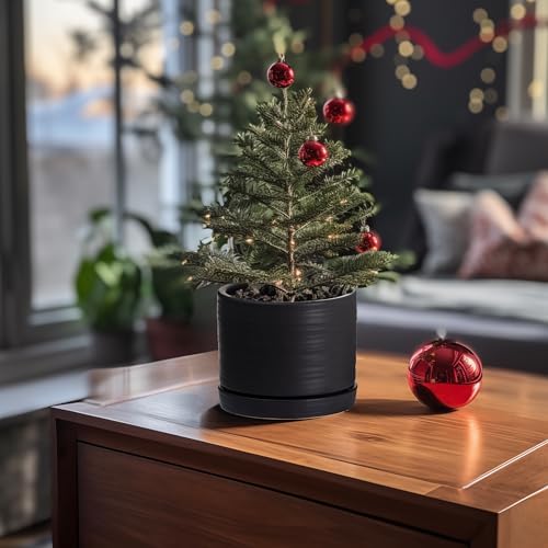 HERDUK 8 Inch Pots for Plants, Ceramic Planter Pot with Drainage Hole & Saucer, Indoor/Outdoor Cylinder Round Planter Pot, Matte Black - Image 5