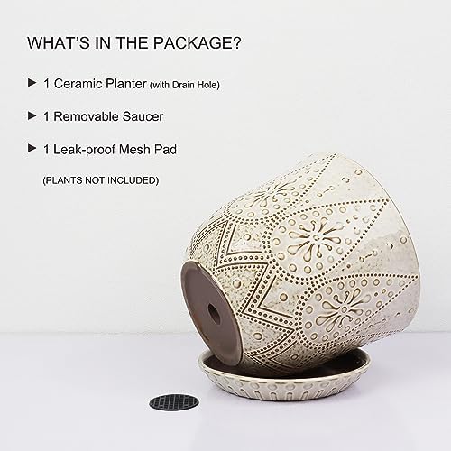 Gepege 10 Inch Ceramic Plant Pot for Indoor Plants with Drainage & Saucer - Image 3