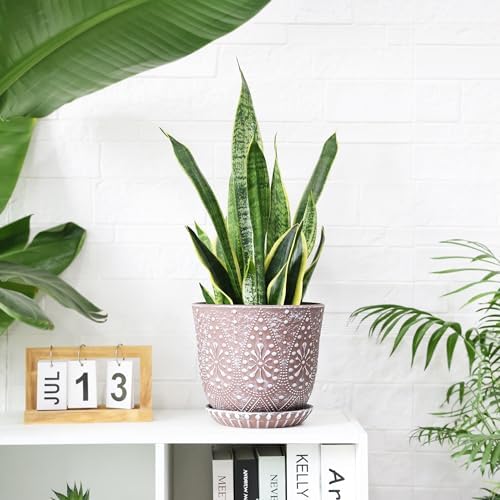 Gepege 8 Inch Ceramic Plant Pot with Drainage & Saucer - Image 4