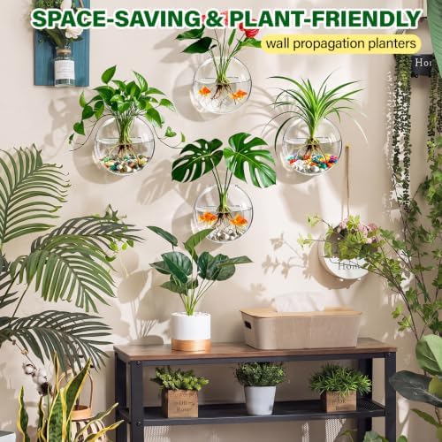 Window Propagation Stations, Wall Hanging Planters for Hydroponics - Image 6