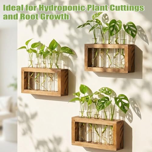 3-Pack Glass Plant Propagation Stations with Wooden Stand, Gardening Gifts for Women Mom Plants Lovers, 15 Glass Test Tubes Vases for Hydroponic Plants Desktop Terrarium Decor - Image 4