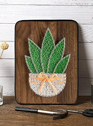 BAZIMA DIY String Art Kit for Beginner,DIY Aloe Potted Craft Kit,Unique Gift,Craft Kit for Holidays - Image 4