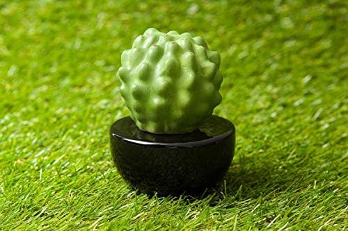 Frank Cactus, Non-Electric Ceramic Diffusers for Essential Oils and Aromatherapy Fragrance, White Ceramic Diffusers in Car or Desk Office Decor and Small Bathroom at Home, Black vase - Image 5
