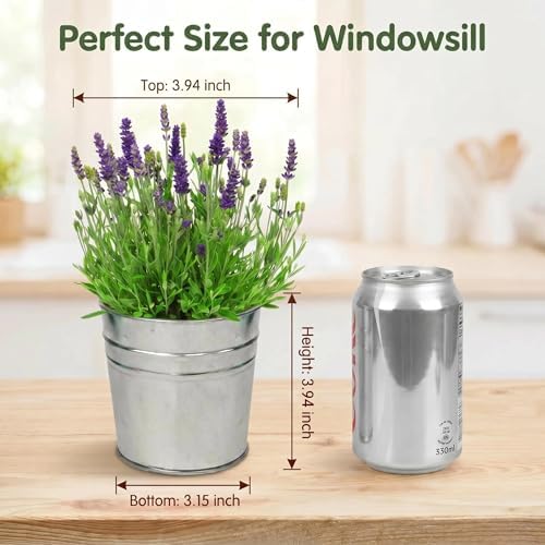 Lavender Grow Kit, All-in-One Indoor Flower Garden Starter Kit with Conical Metal Planter, Complete Growing Set for Gardening Enthusiasts, Windowsill Home Gardening - Image 3
