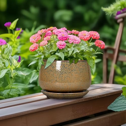 G EPGardening 6 Inch Plant Pot - Ceramic Succulent Pots with Drainage and Ceramic Tray, Round Planter for Indoor Outdoor Plants, Decorative Flower Pots, Home Decor, Gift for Women Men, Speckled Brown - Image 4