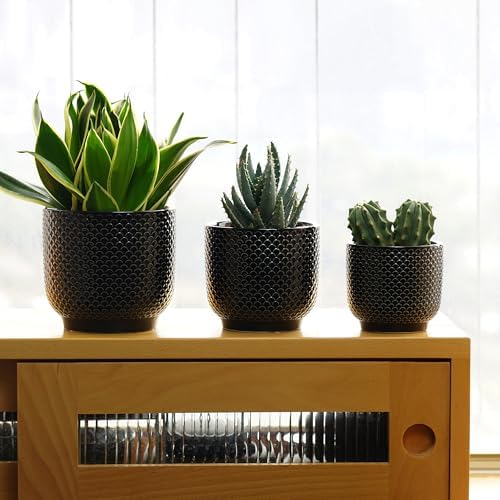 4 + 5 + 6 Inch Ceramic Pots for Indoor Plants, Succulents Plant Pots, Orchid Flower Pot with Drainage Hole, Modern Clay Stoneware Planters, Set of 3 (Black, 4+5+6 Inch) - Image 6