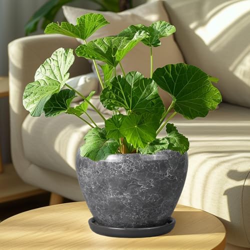 Ceramicfor 8 Inch Plant Pot - Ceramic Planter Pot with Drainage Hole and Saucer, Glaze Garden Pot Modern Flower Pot for Indoor Plants, Gray - Image 4