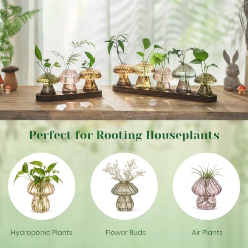 Hewory Plant Propagation Stations: 5PCS Amber Mushroom Vase with Wood Tray - Image 6