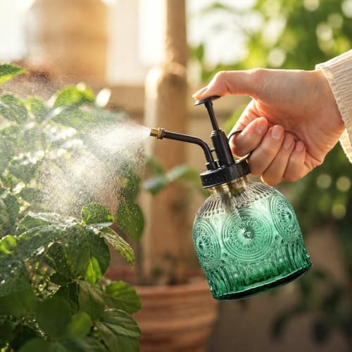 Glass Plant Mister Spray Bottle Vintage Refill Leak Proof Watering Can 8oz - Image 2