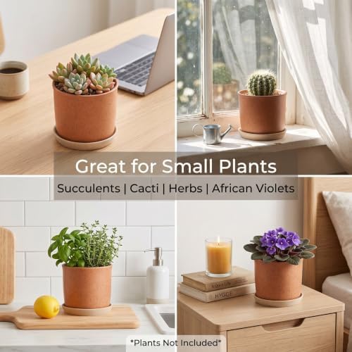 5.8 Inch Ceramic Plant Pot with Drainage Hole & Separate Saucer - Image 4