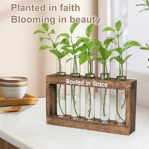 Rooted in Grace Plant Propagation Station – Wooden Stand with 5 Glass Vases, Faith-Inspired Christian Gift for Women, Indoor Plant Cutting Holder for Home, Office, Garden and Housewarming Décor - Image 3