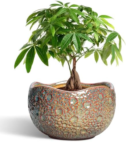 10 Inch Plant Pot - Ceramic Planter with Drainage Hole and Plug, Unique Round Planters for Indoor Outdoor Plants, Decorative Planters, Home Decor, Gardening Gifts for Women, Speckled-Brown by Thirtypot