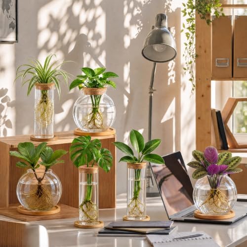 Honeydak 6 Pcs Plants Propagation Stations with Wooden Lid and Bamboo Stand - Image 3