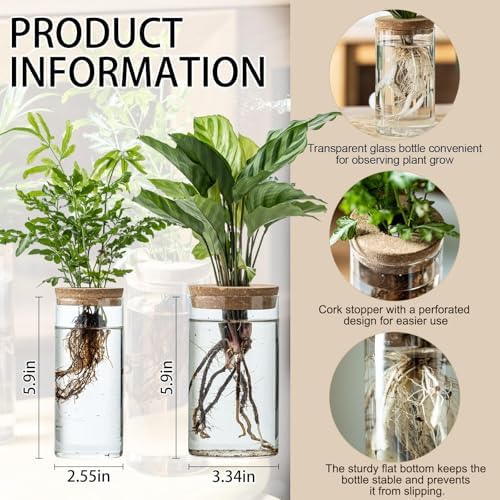 Propagation Vases for Plants, Set of 6(3 Large & 3 Small) Glass Plant Propagation Stations, Plant Propagation Jars for Home Office Windowsill Tabletop Decoration (6) - Image 2