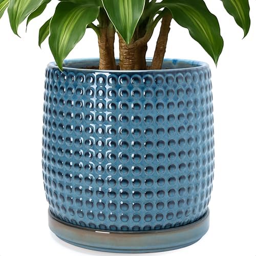 D'vine Dev Beaded Ceramic Pot with Saucer, 10 in, Ocean Teal, 27-C-P-8 by DvineDevPlanterPotsandStand