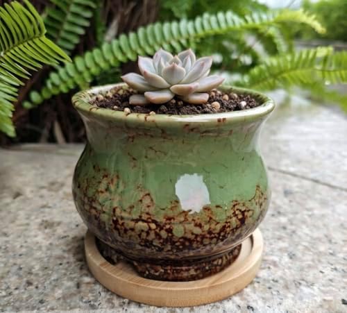 Cute 3.94 Inch Ceramic Home Garden Decoration Succulent Cactus Flower Pots Container -Plant Not Included，Green - Image 2