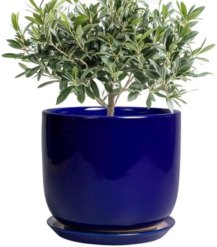 8 Inch Ceramic Plant Pot - Decorative Round Planter for Indoor Plants with Drainage Hole and Saucer, Home House Room Office Garden Decor, Blue by SUNPOTFOR