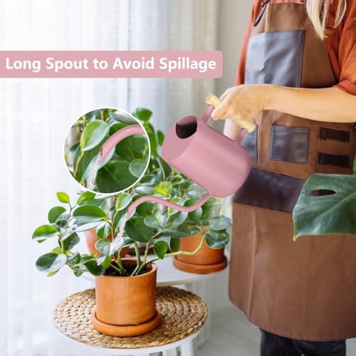 Watering Can Indoor Plants, 35oz Small Indoor Stainless Steel Metal Watering Can Modern Decorative Watering Pot with Long Spout for Indoor House Plant Bonsai Garden Flowers (Pink) - Image 2