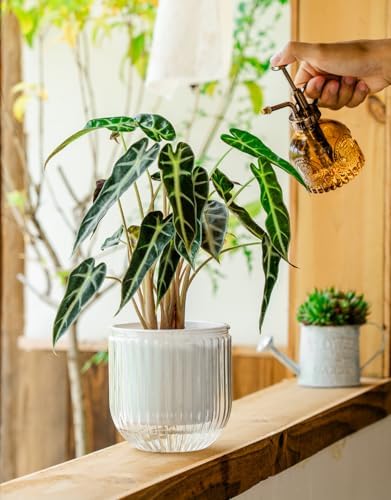 Melphoe Self Watering Pots for Indoor Plants Planter, 5.3 Inch 2 Pack Planters Self Watering Plant Pots for Flower, Houseplants, Succulent, African Violets and Cactus with Drainage - Image 4