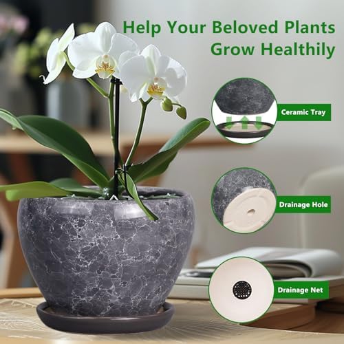 Ceramicfor 8 Inch Plant Pot - Ceramic Planter Pot with Drainage Hole and Saucer, Glaze Garden Pot Modern Flower Pot for Indoor Plants, Gray - Image 5