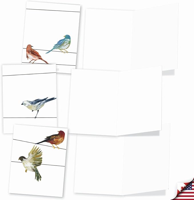 The Best Card Company - 10 Bird Note Cards Blank (4 x 5.12 Inch) - All Occasion Cards with Envelopes, Boxed Set - High Wire Birds M3318