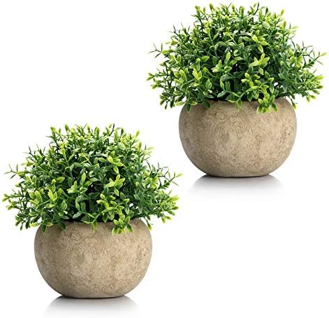 Velener 2Pcs Mini Artificial Boxwood Topiary Faux Plants Indoor- Small Fake Plants Decor Magnolia Home Office Desk Cubicle Farmhouse Kitchen Bookshelf Bedroom Bathroom Decor, Aloe Vera Zen Garden by Velener