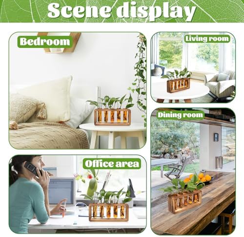 Glass Plant Propagation Station with 5 Test Tubes Colorful Planter Vase - Image 5