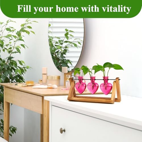 XXXFLOWER Plant Terrarium Propagation Stations 3 Heart Shaped Vases - Image 5