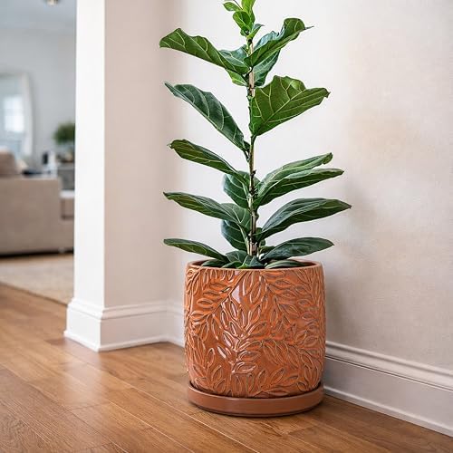 D'vine Dev Embossed Leaves Ceramic Planter, 10 in, Pumpkin, 27-A-P-J - Image 5