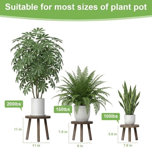 3-Pack Wood Plant Stands Indoor, Single Plant Stand for 6-12 Inch Pots, Mid-Century Modern Plant Stool, Tall Plant Stand for Large Plants Perfect Fit for Living Room, Balcony, Office - Image 2