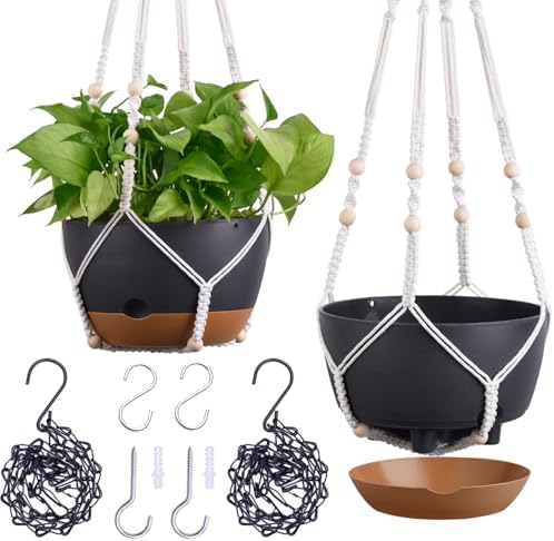 montresor 8 Inch Plant Hanging Basket for Indoor/Outdoor, Self Watering by Montresor