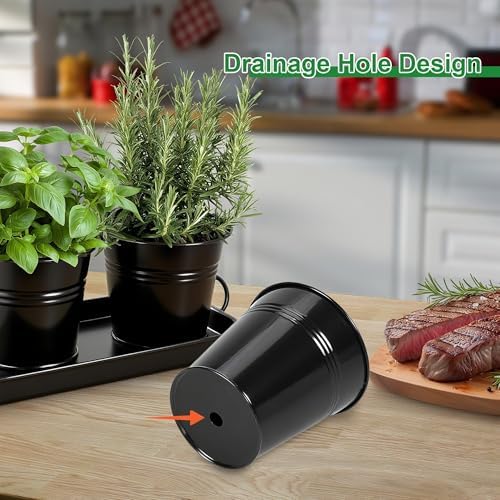 Herb Garden Planter Indoor Kit – 6 Metal Pots with 2 Trays for Windowsill & Kitchen Counter – Modern Decorative Indoor Planters for Herbs, Succulents & Small Plants, Black - Image 3