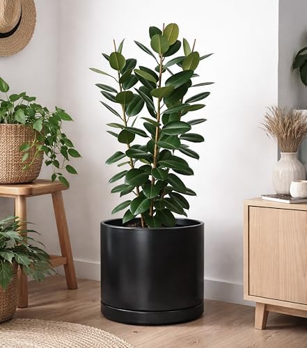 D'vine Dev 16 Inch Ceramic Planter Pot, Black, 94-O-H-2 - Image 6